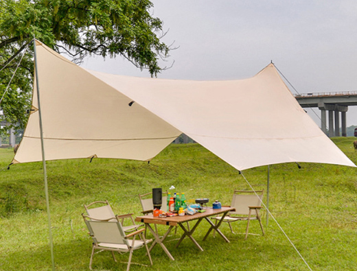 Large Butterfly Hexagon Canopy Tent